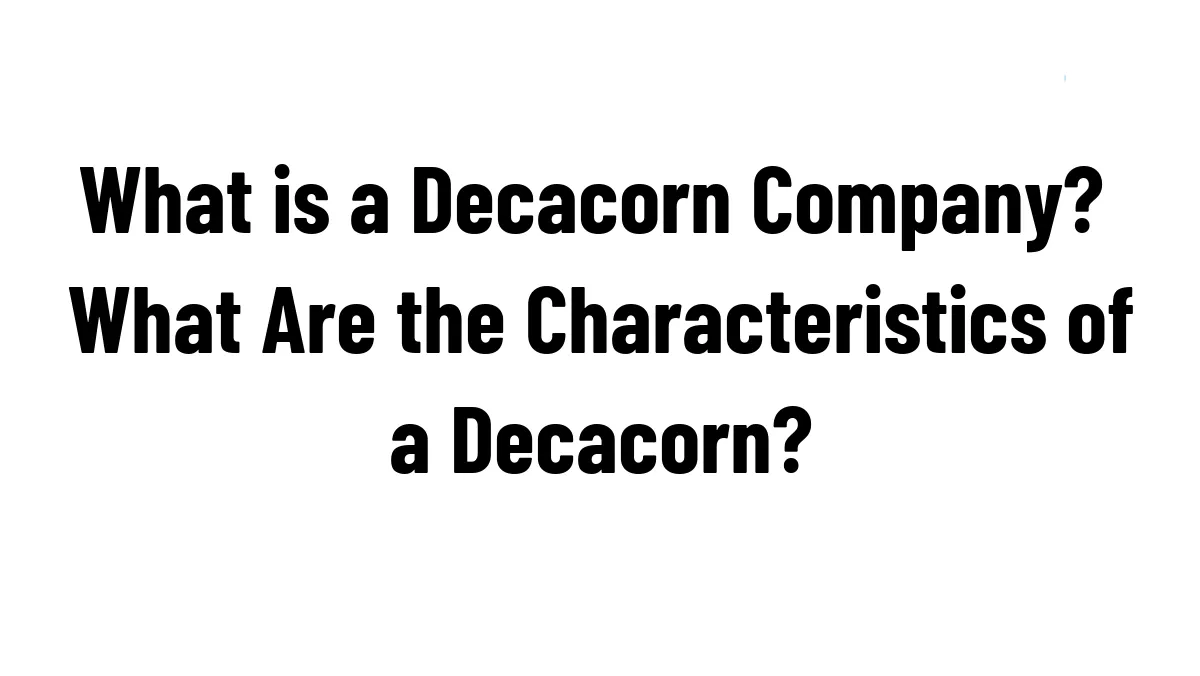 What is a Decacorn Company? What Are the Characteristics of a Decacorn?